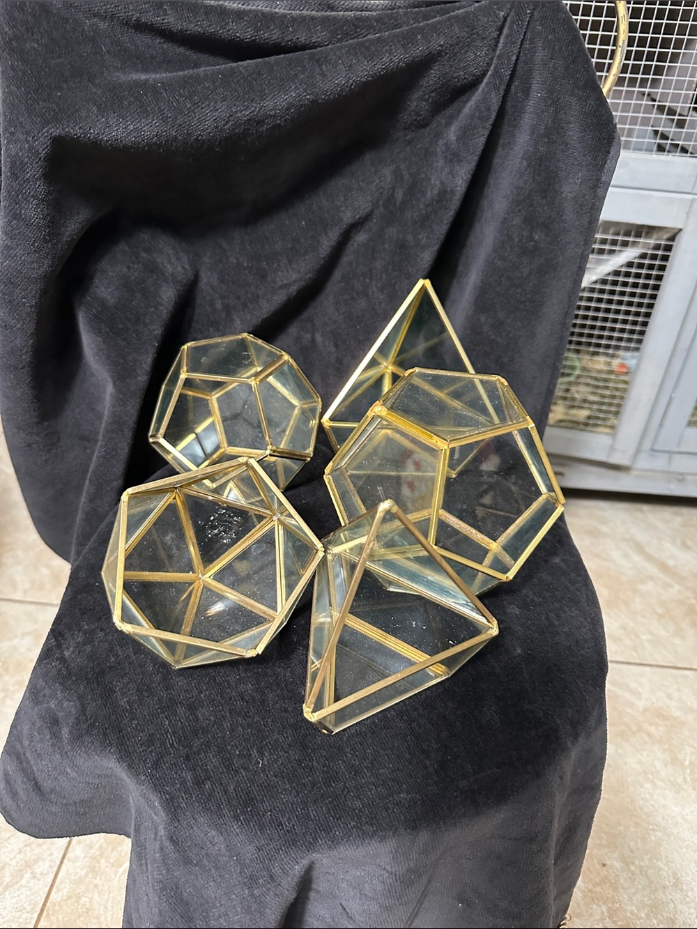 Geometric Glass Terrarium Set of 5